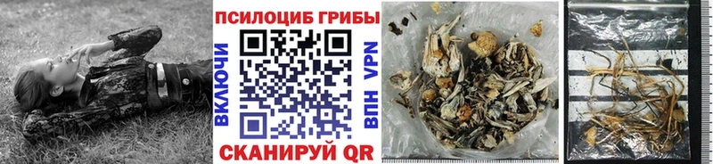 Псилоцибиновые грибы Psilocybe  Инта 